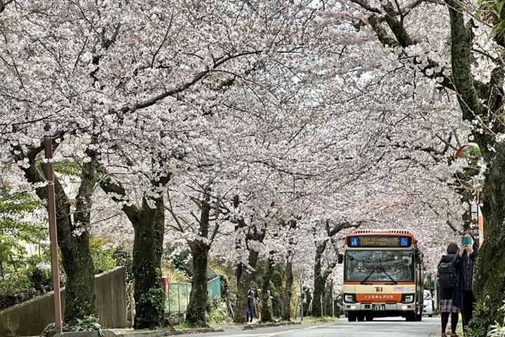 伊豆高原 温泉付別荘 ISANA Mountain Villa Futo 外观 照片