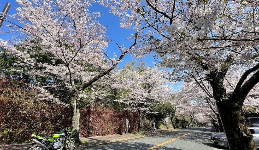 伊豆高原 温泉付別荘 ISANA Mountain Villa Futo 外观 照片